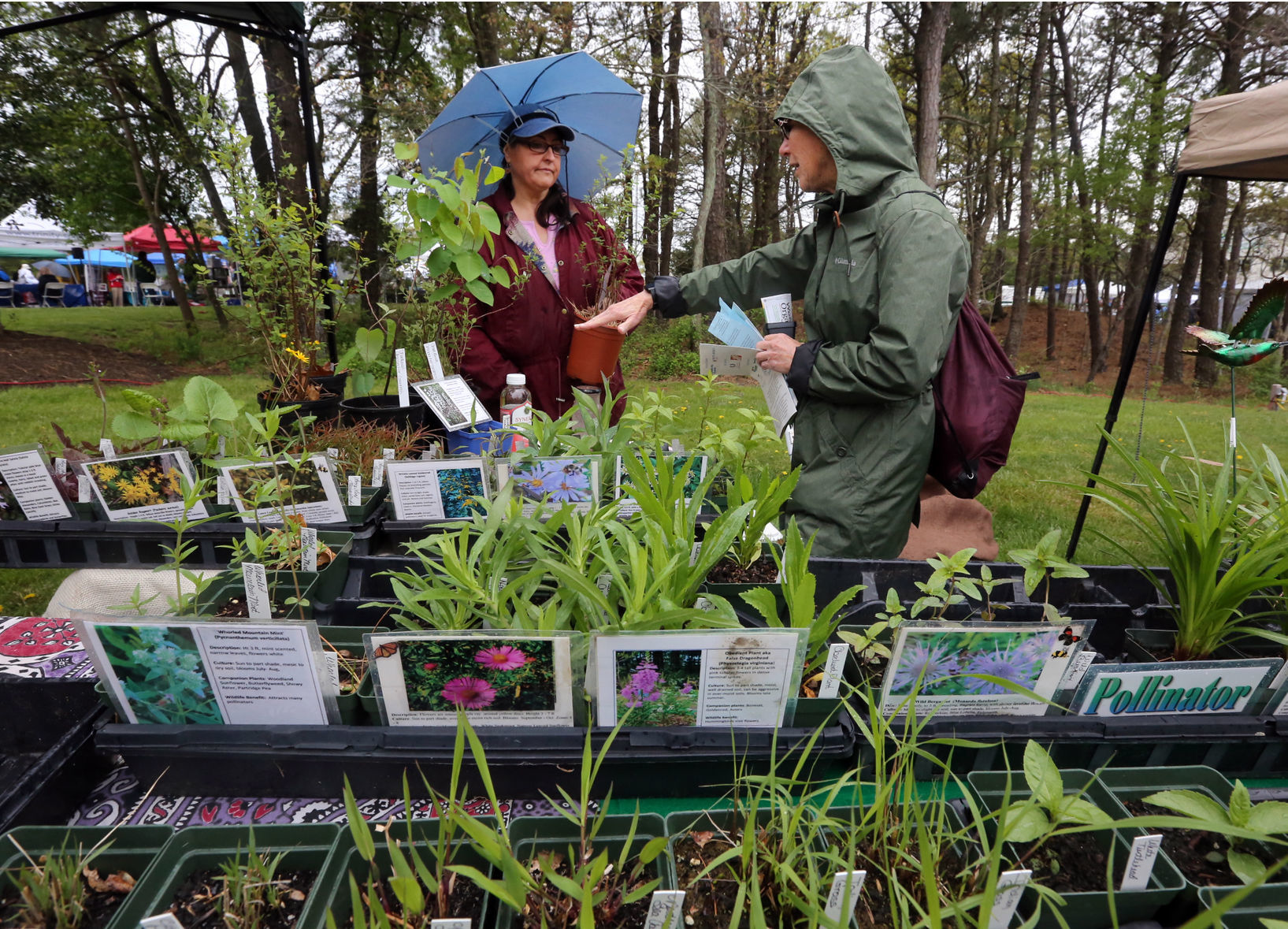 Earth Day at ACUA